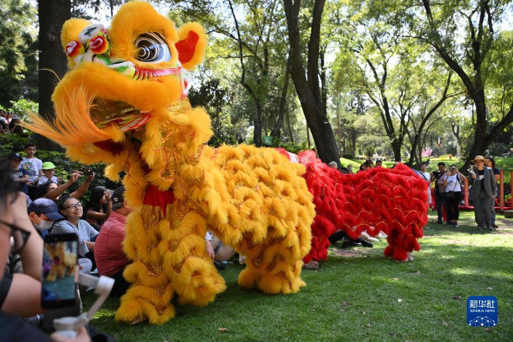 乐东老虎机